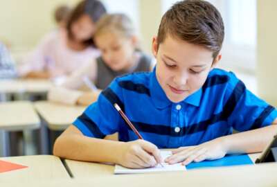 What is the ISEB Common Pre-Test?
