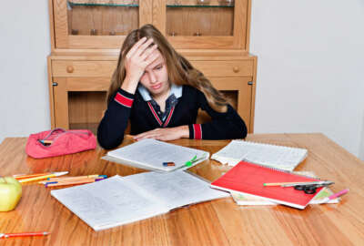 Mock exams